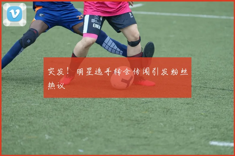 突发！明星选手转会传闻引发粉丝热议