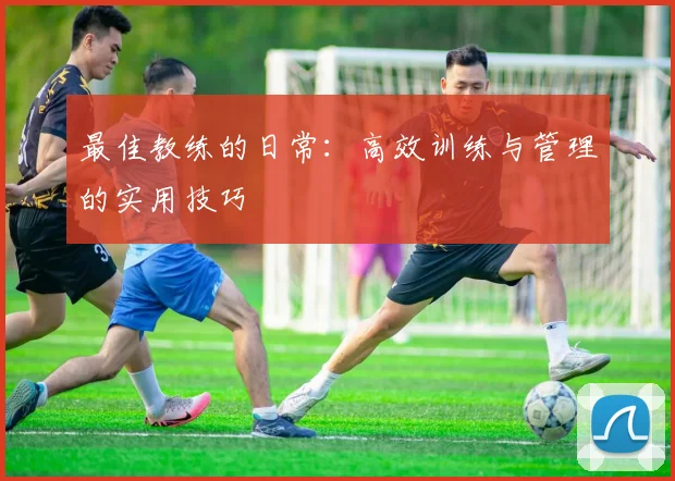 最佳教练的日常:高效训练与管理的实用技巧