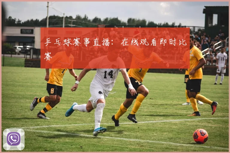 乒乓球赛事直播：在线观看即时比赛